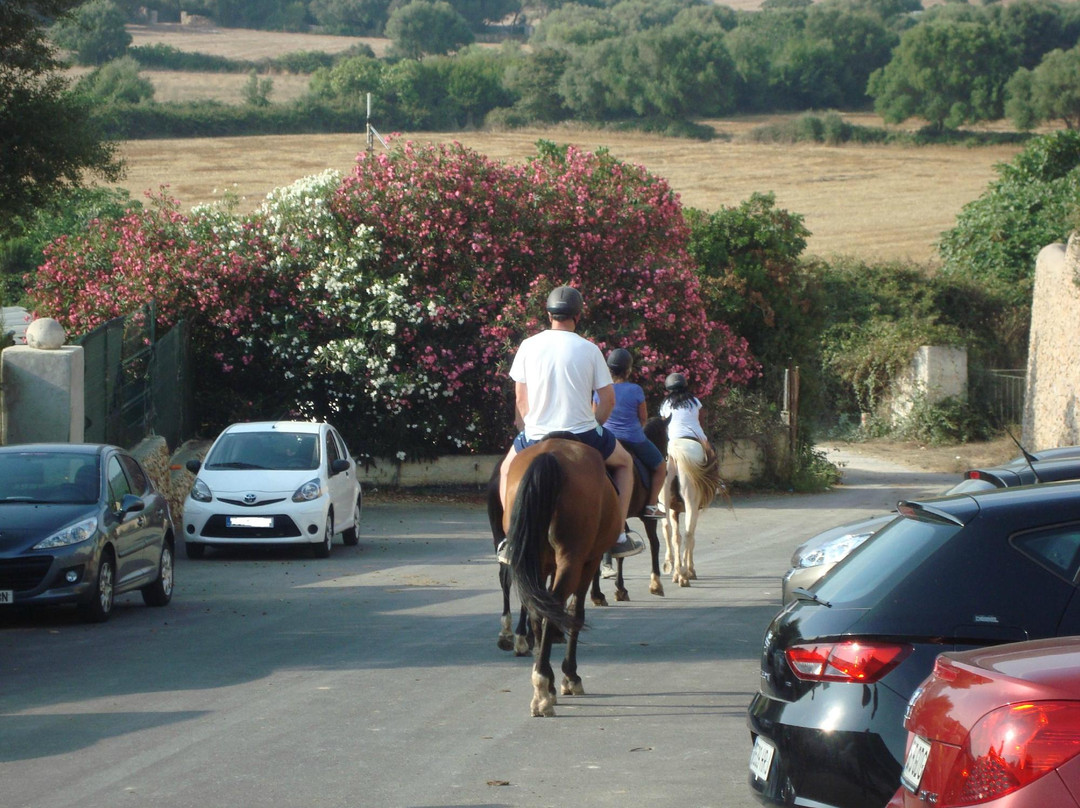 Son Bou Rutas A Caballo-阿拉约尔必去景点