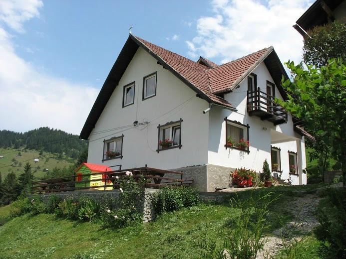 Dragoslovean Guesthouse-官方