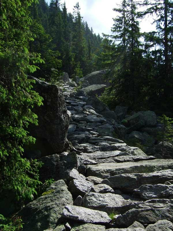 Merano High Mountain Trail景点图片