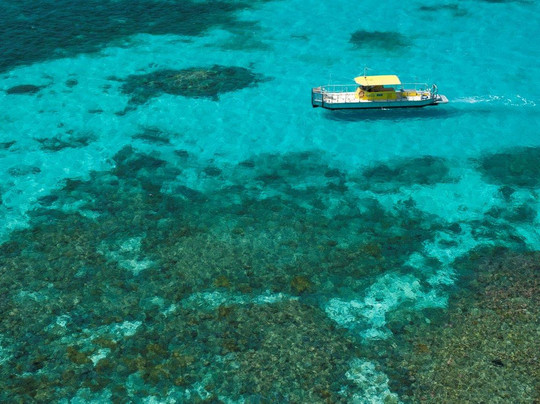 Big Cat Green Island Reef Cruises - Day Tour-凯恩斯必去景点