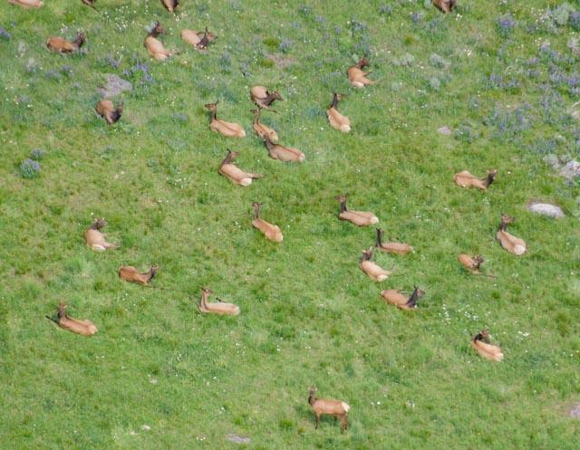 Rocky Mountain Rotors-Manhattan必去景点