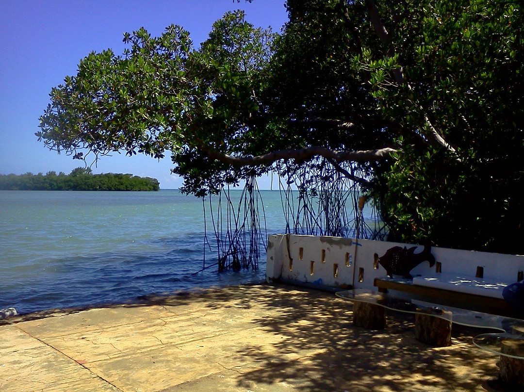 Salinas餐馆和美食-Sal Pa Dentro