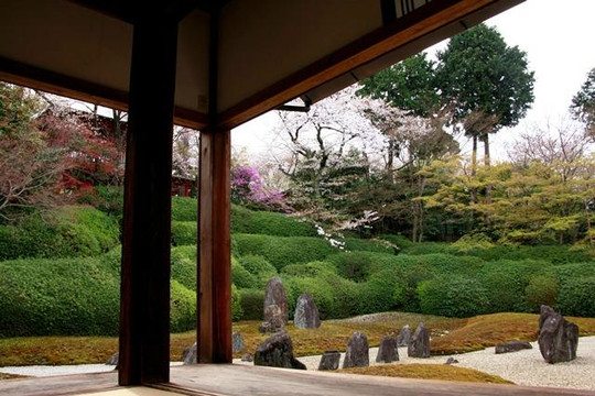 Kōmyō-in Temple-京都市必去景点