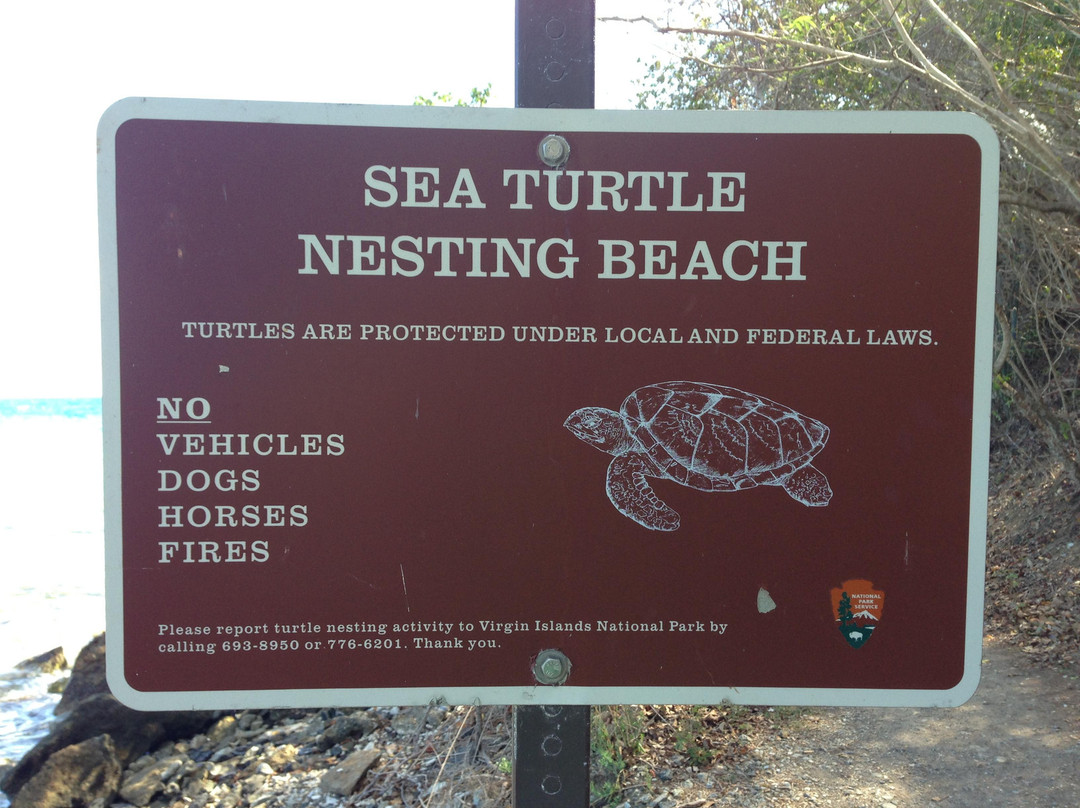 Leinster Bay-维尔京群岛国家公园必去景点