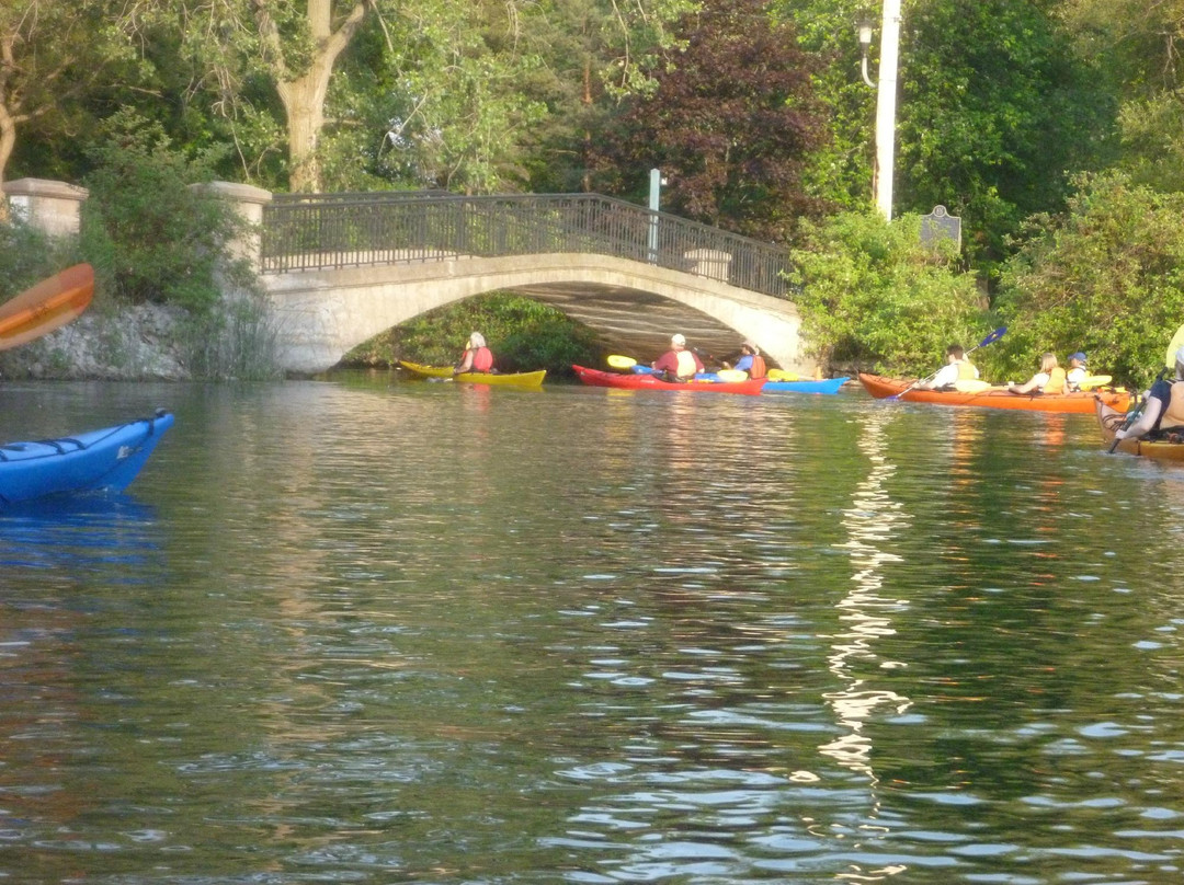 Harbourfront Canoe & Kayak Centre景点图片