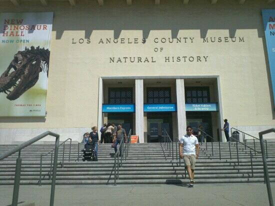 洛杉矶县自然历史博物馆-洛杉矶必去景点
