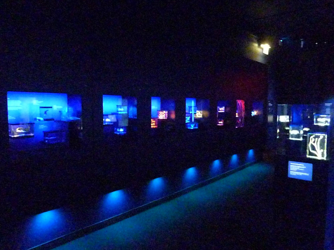 Zoologisches Museum-基尔必去景点