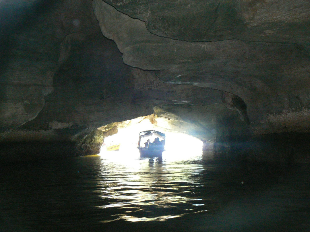 Natasha's Mangrove Nature Tour-兰卡威必去景点