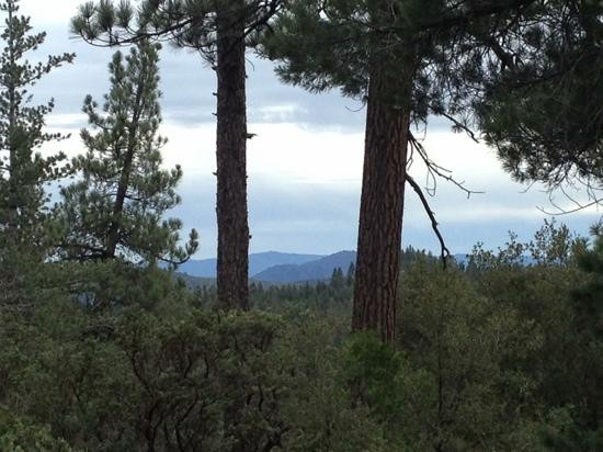 Idyllwild Nature Center-Idyllwild必去景点