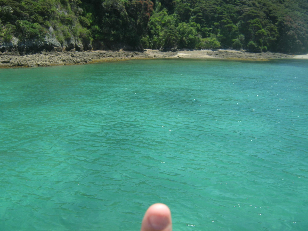 Sail Tekaihau - Day Tours景点图片