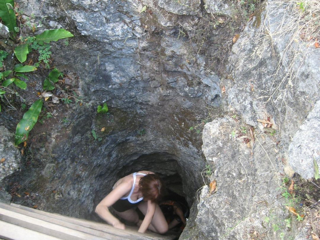 Cuzama Sinkhole Tour - Best Day Travel (Day Tour)景点图片