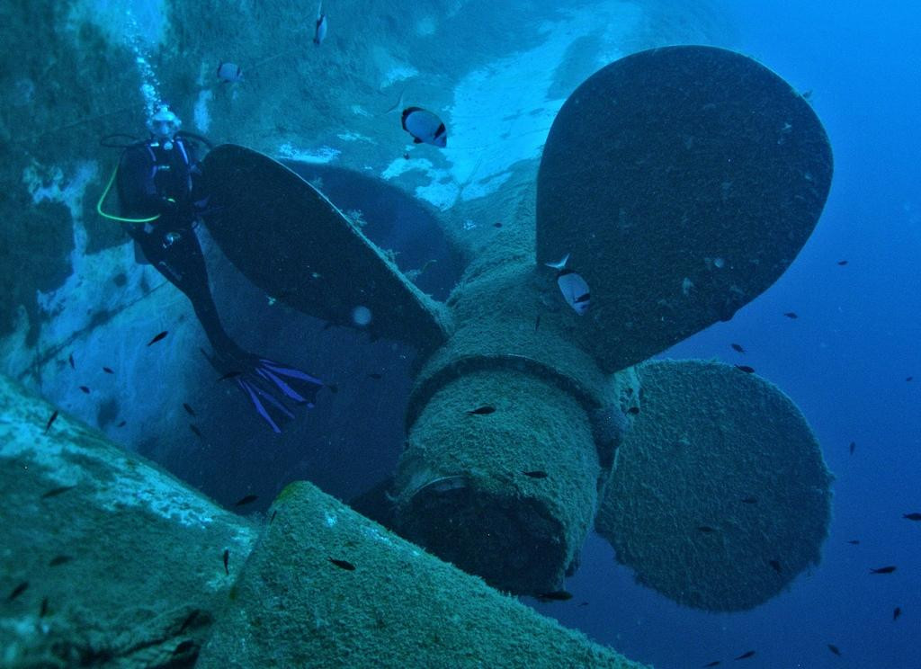 Zenobia Wreck Diving Site-拉纳加必去景点