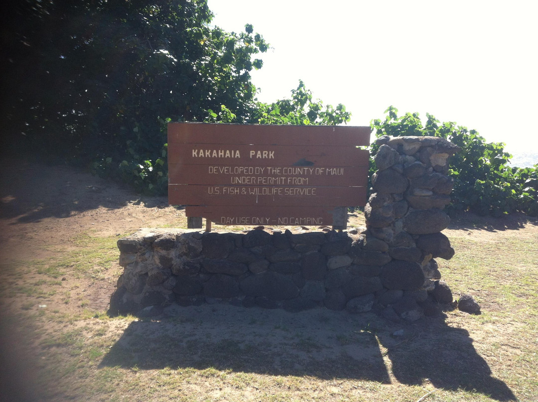 Kakahaia Beach Park-考纳卡卡伊必去景点