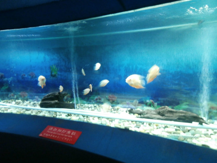 天目湖山水园景点图片