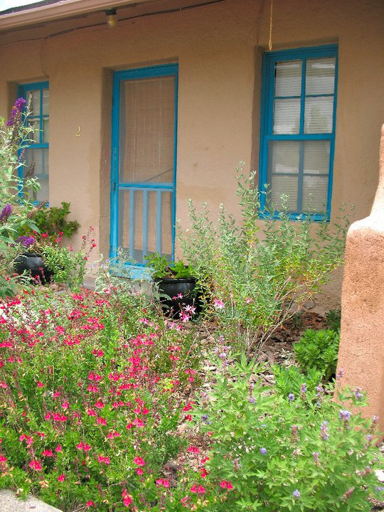 Adobe Agave B&B-官方
