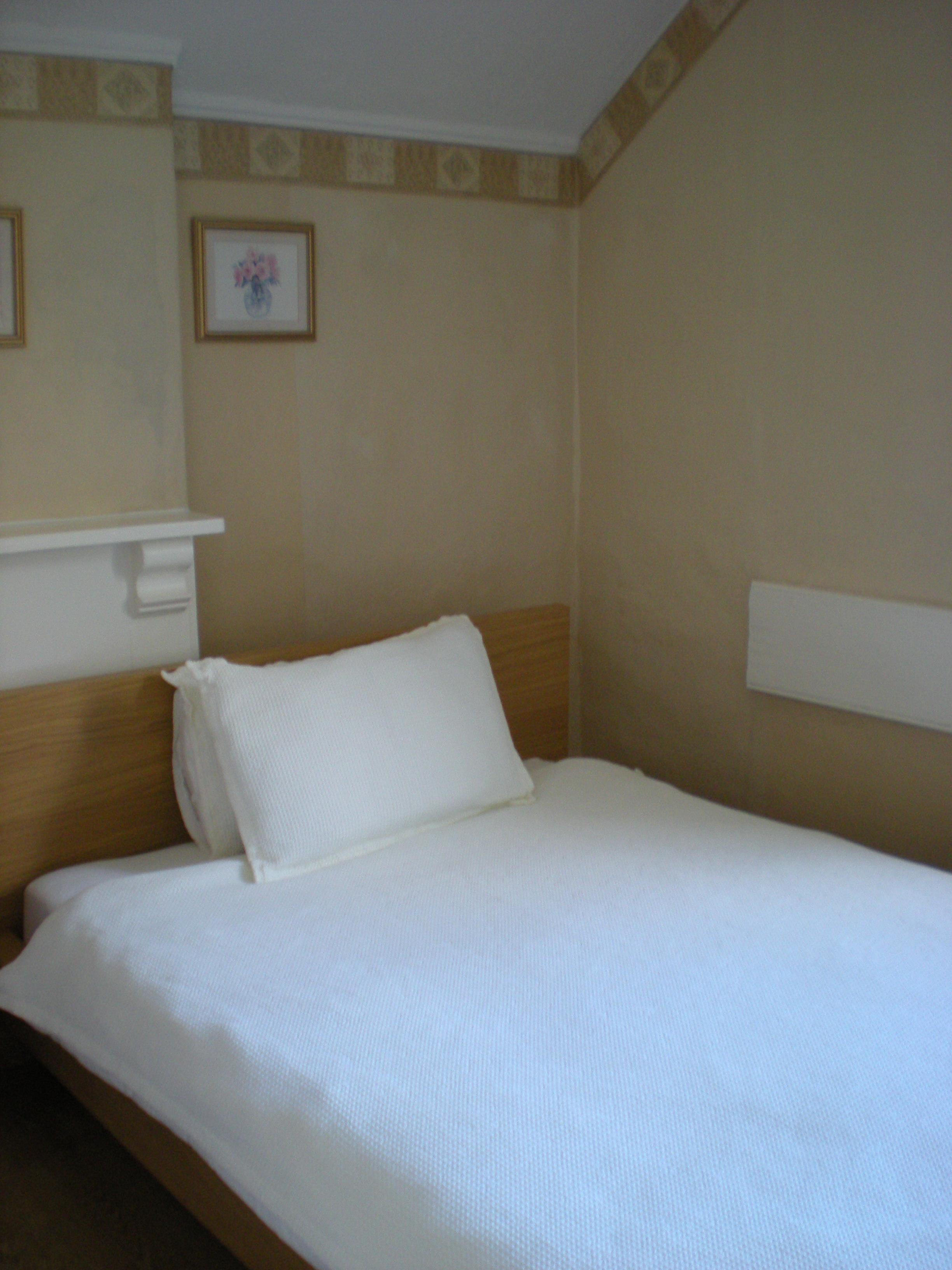 Manor Lodge Guest House-客卧