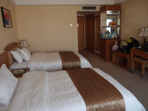 东营蓝海新悦大饭店-客卧