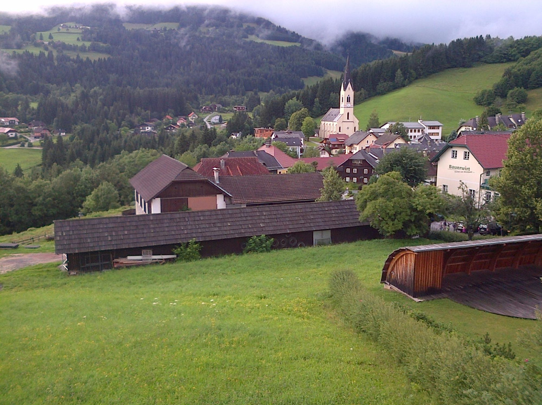 Verditz酒店住宿-Gasthof Alte Point