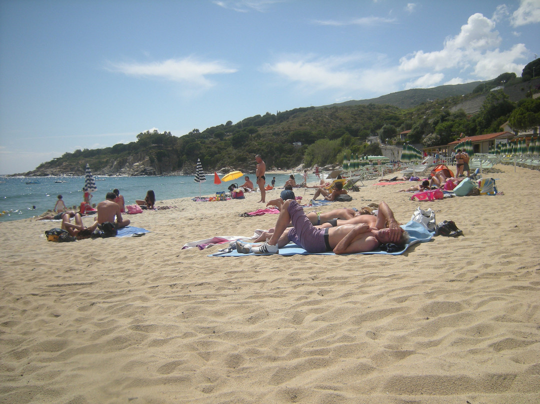 Spiaggia di Cavoli景点图片