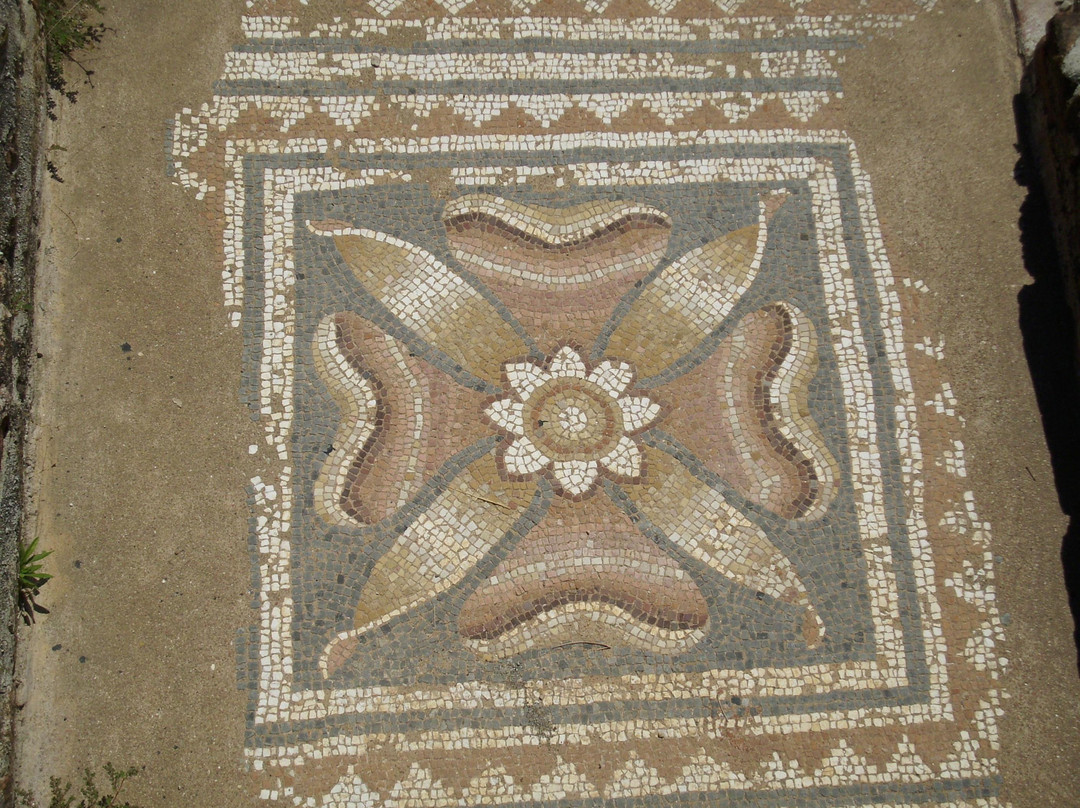 Dion Archaeological Park景点图片