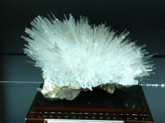 Geological Museum-筑波市必去景点