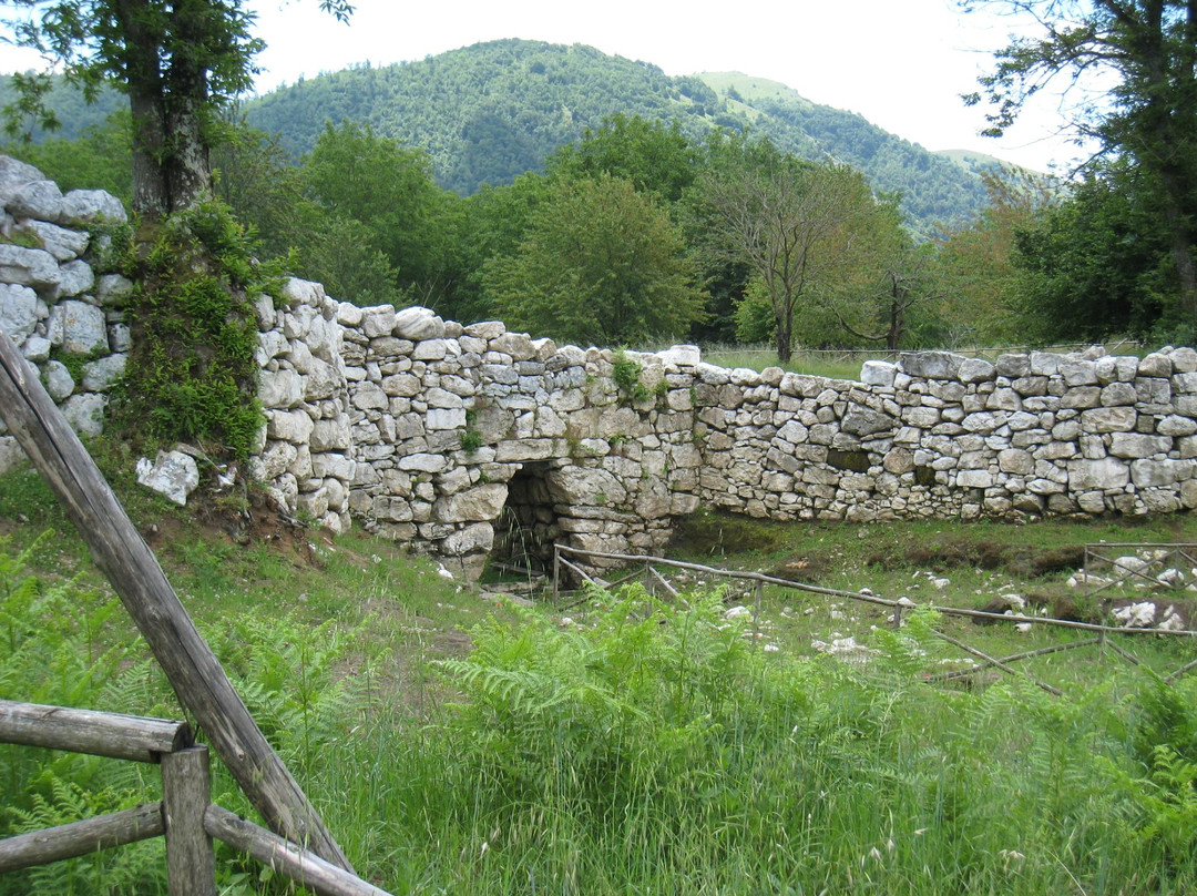 Trebula Balliensis景点图片