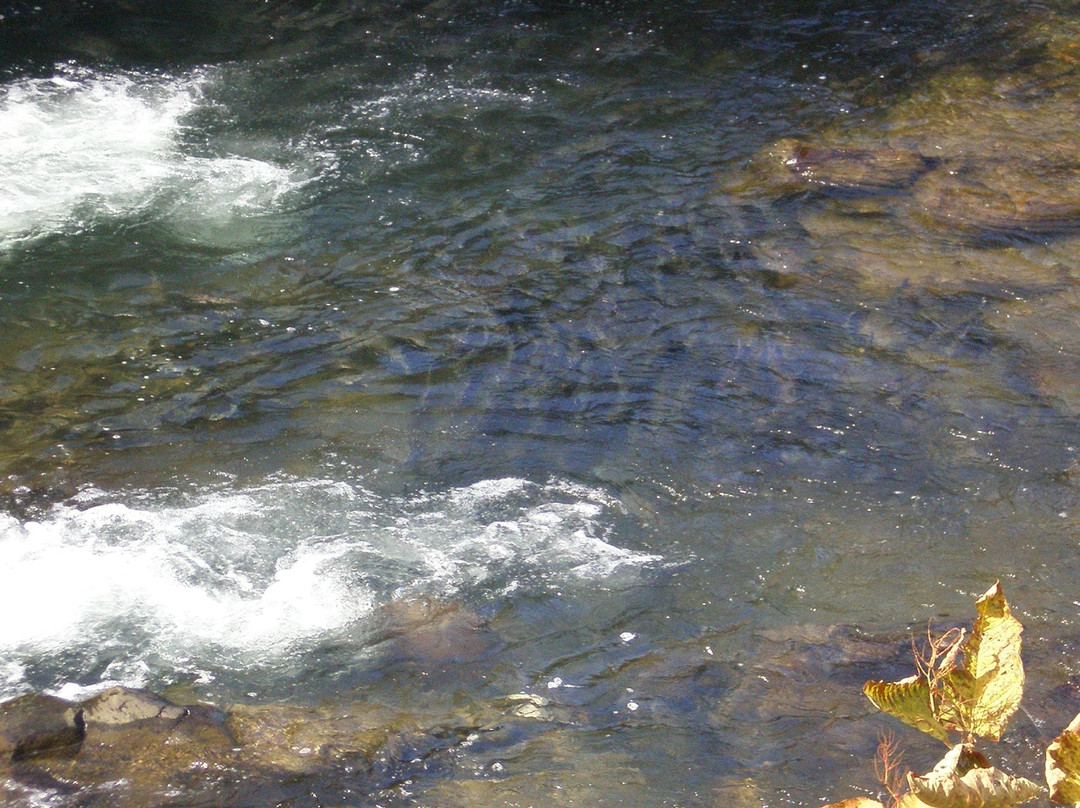 Onnebetsu River-斜里町必去景点