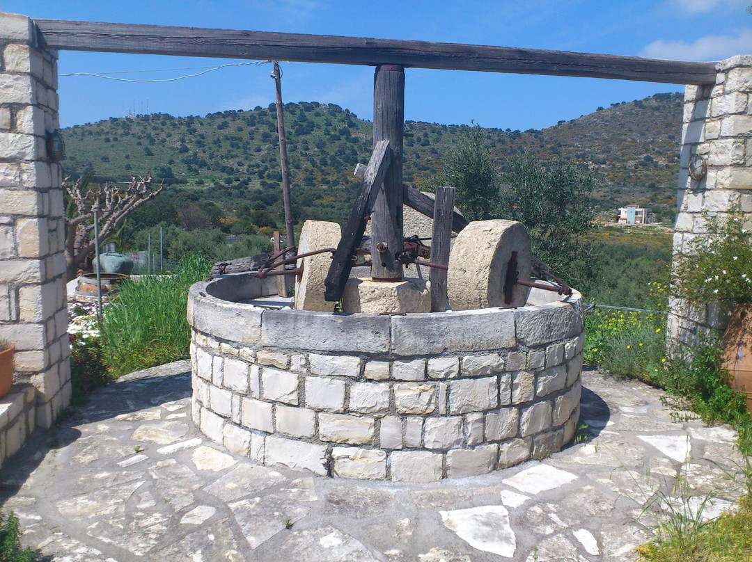 Paraschakis Olive Oil - Crete景点图片