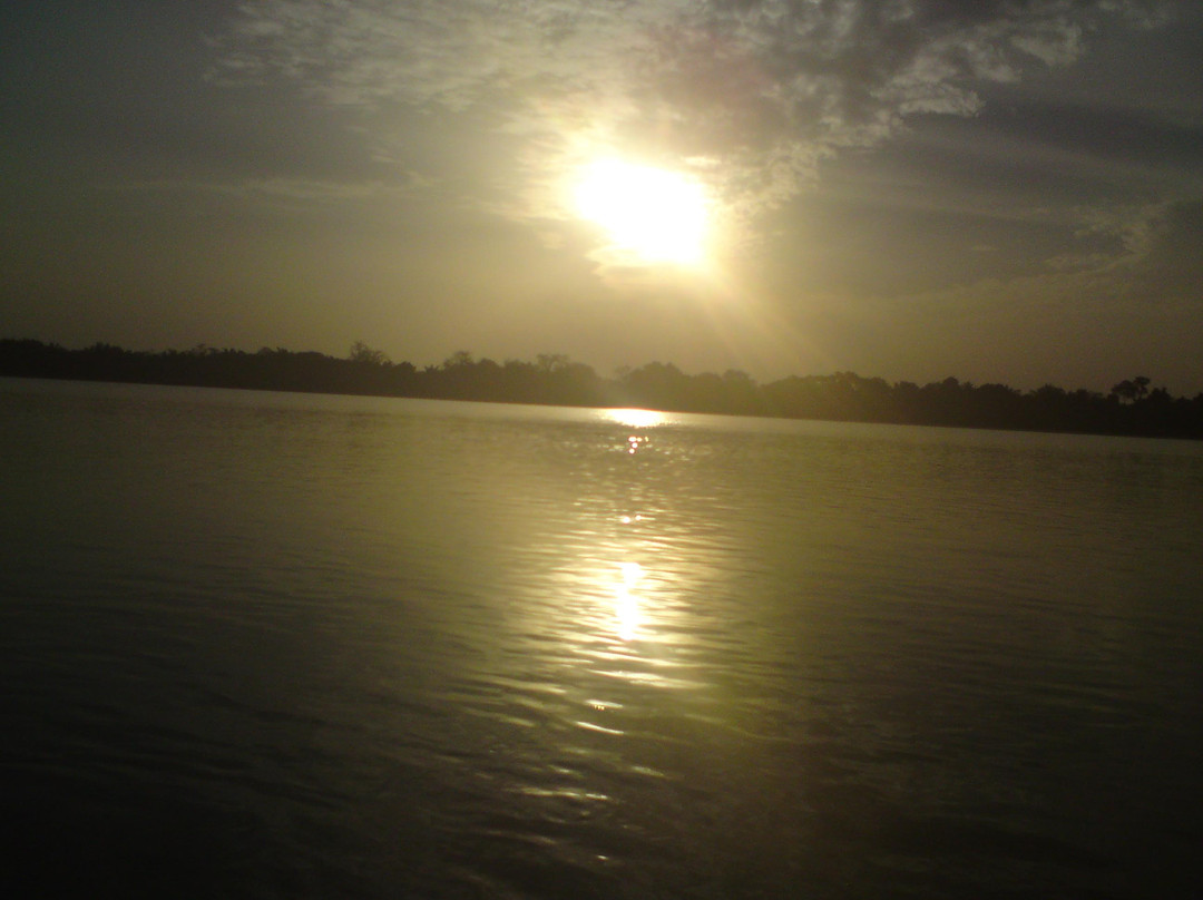 River Gambia National Park-班竹必去景点