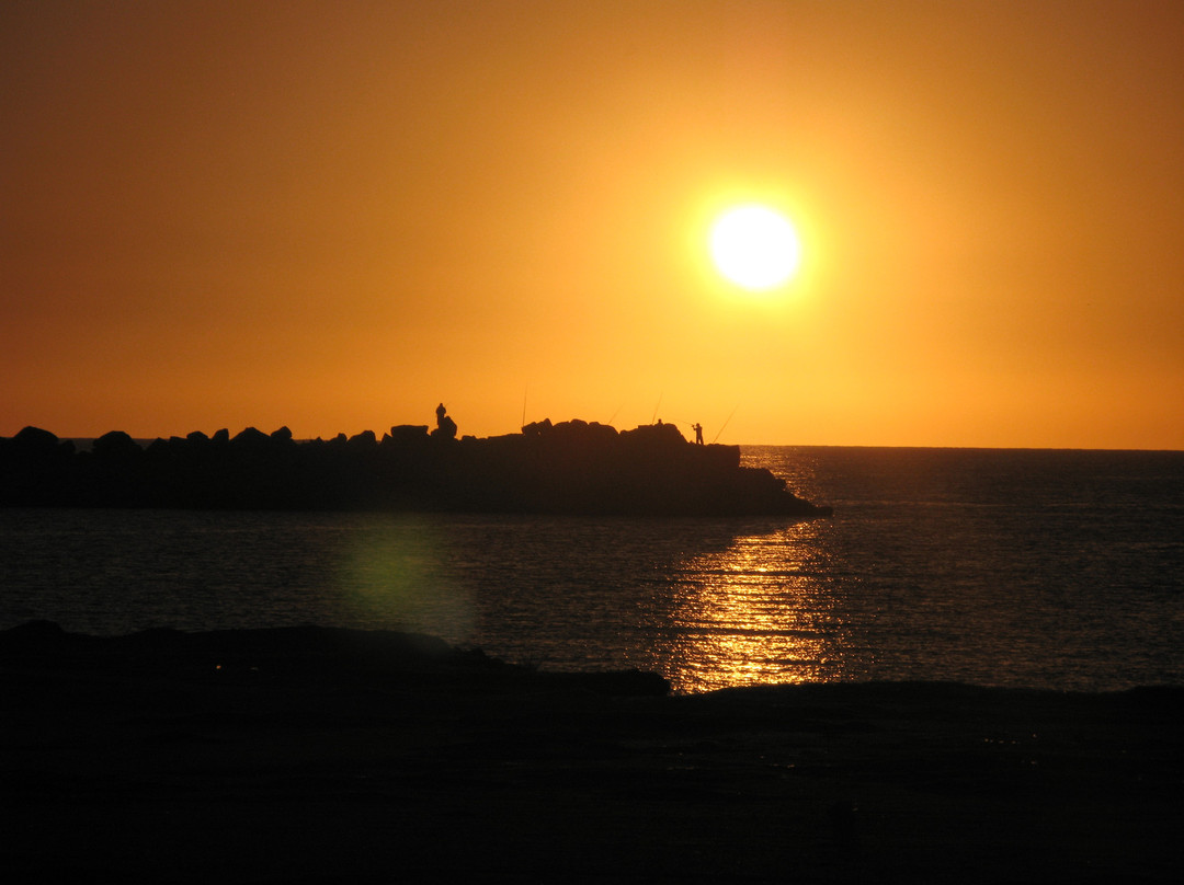 蒙得维的亚兰布拉大道-蒙得维的亚必去景点