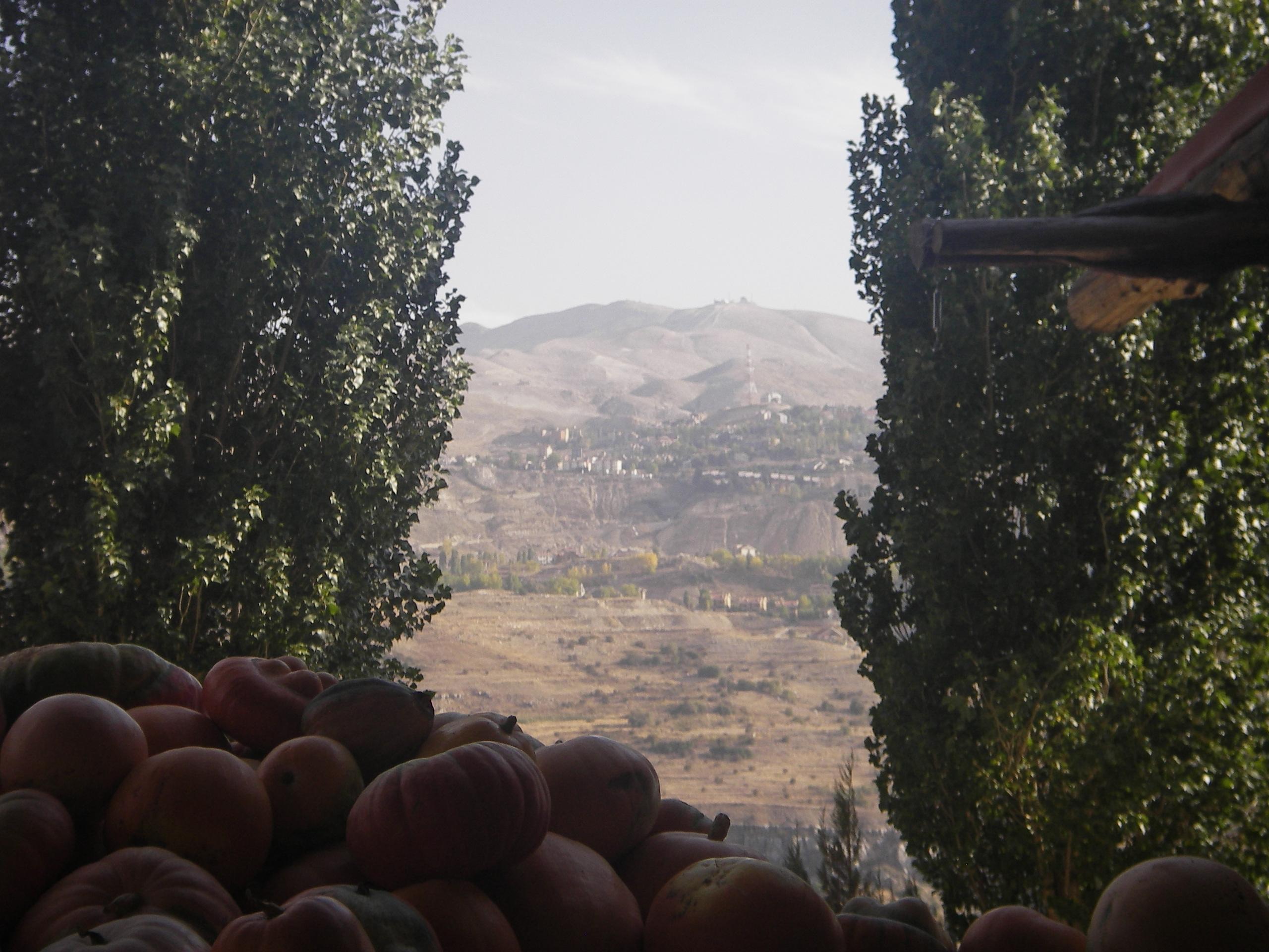 Auberge Le Valais-客卧