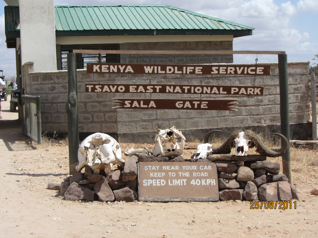 Freezone Safari-马林地必去景点