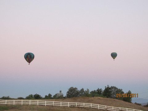 Grape Escape Balloon Adventures-特曼库拉必去景点