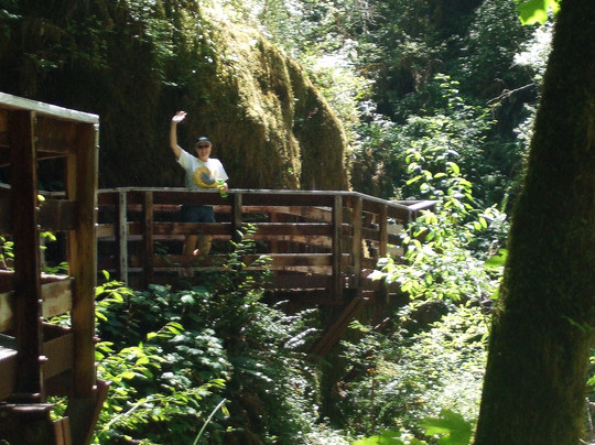 Sweet Creek Falls-Mapleton必去景点