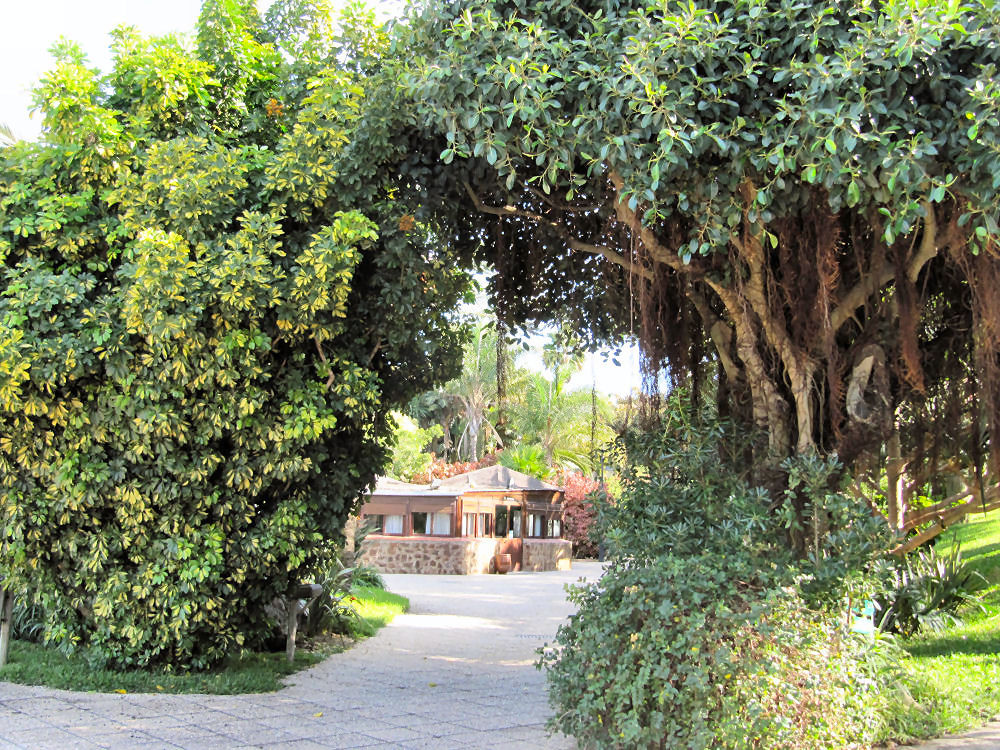 La Barraca Maritima