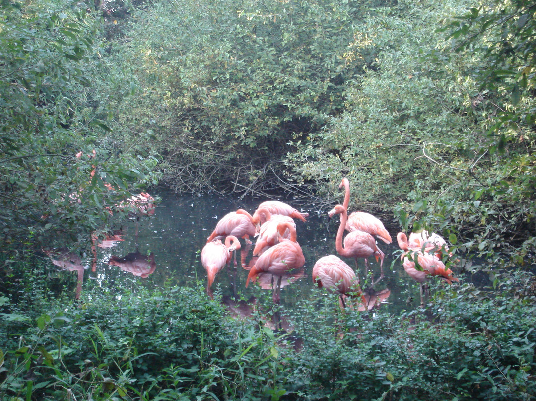 Oasi di Sant'Alessio景点图片
