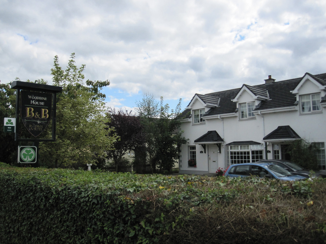 Woodbine House B&B主图