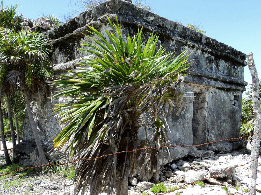 Think Organik Mobile SPA-阿范特拉斯港必去景点