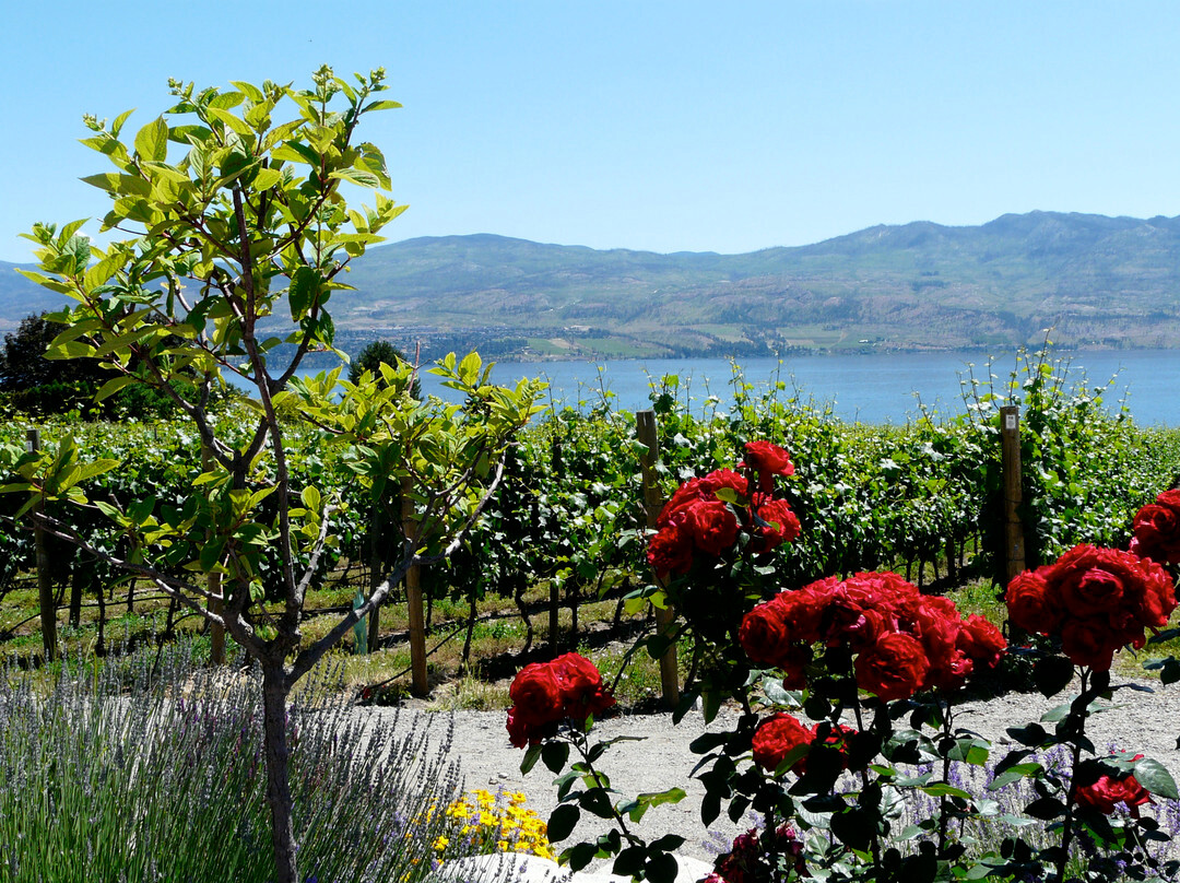 Quails' Gate Winery景点图片