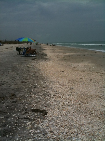 Stump Pass Beach State Park-恩格尔伍德必去景点