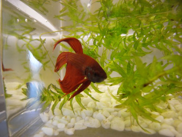 桔子酒店(南京夫子庙张府园地铁站店)主图