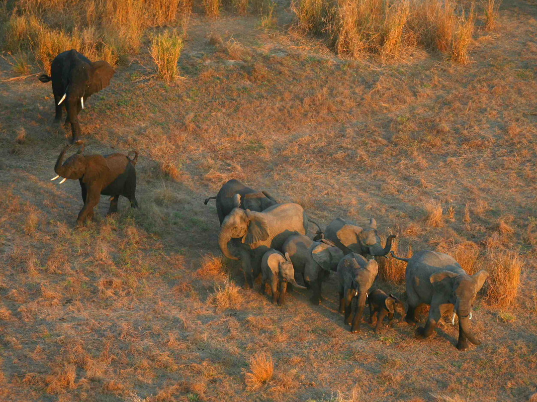 Sofala Province旅游攻略图片