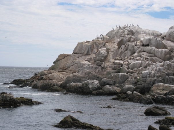 Playa Renaca-比尼亚德尔马必去景点