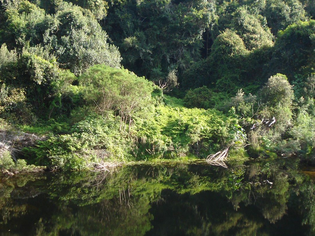 Eden Mountain Biking Tours- Day Tours-乔治必去景点