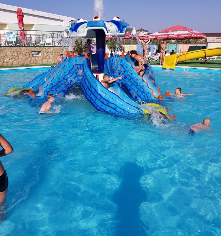 Amazonki Waterpark景点图片