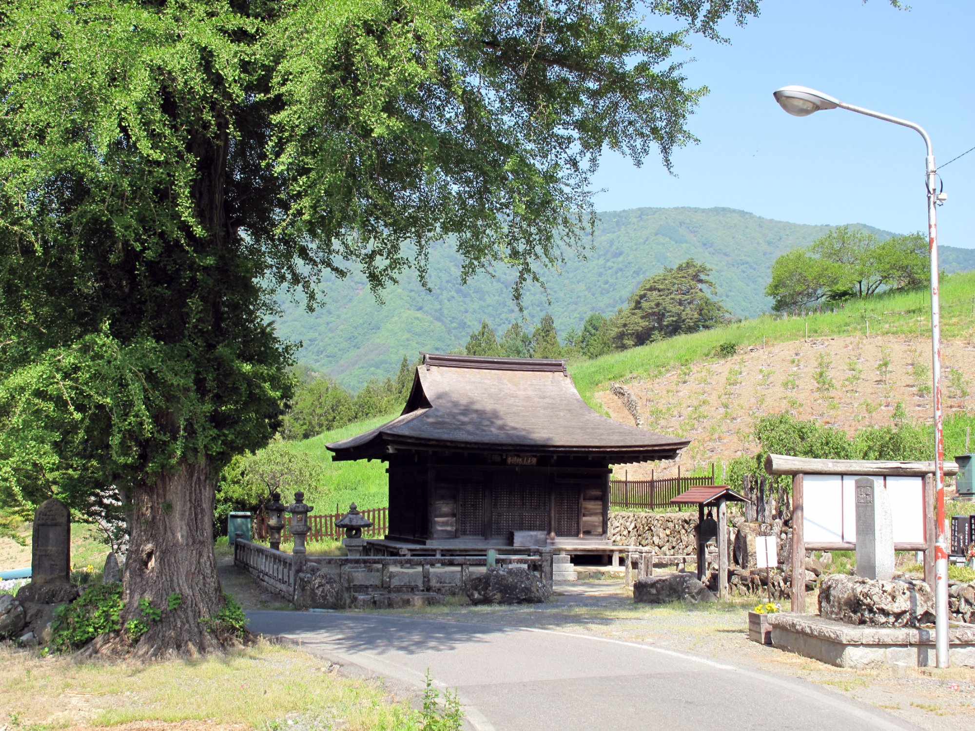 Miyaga-官方