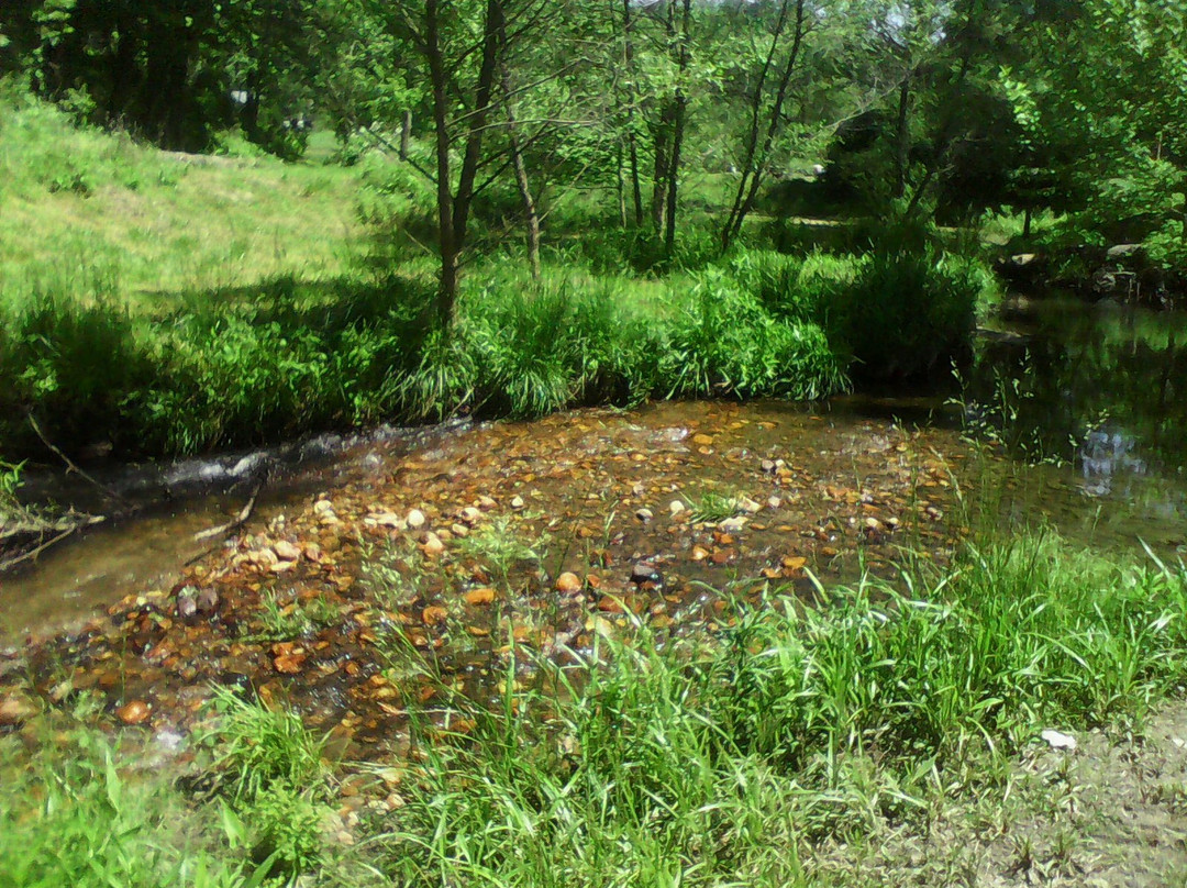 Sandy Creek Family Campground