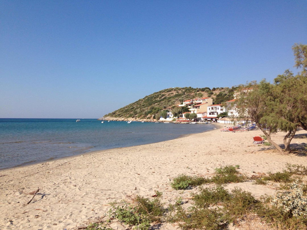Platia