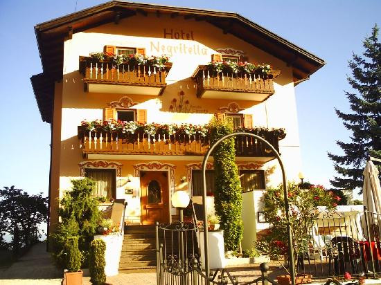 Fai della Paganella酒店住宿-Hotel Negritella