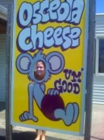 Osceola旅游攻略图片